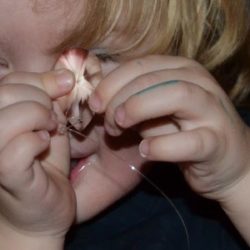 Lennon met kristal Lennon met kristal