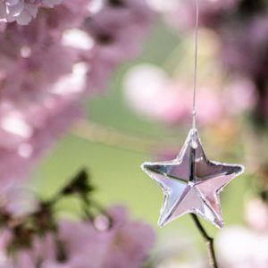 Ster Roze kristal 43mm